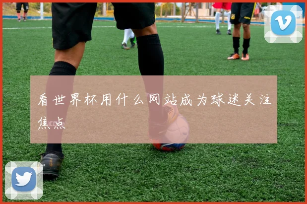 看世界杯用什么网站成为球迷关注焦点